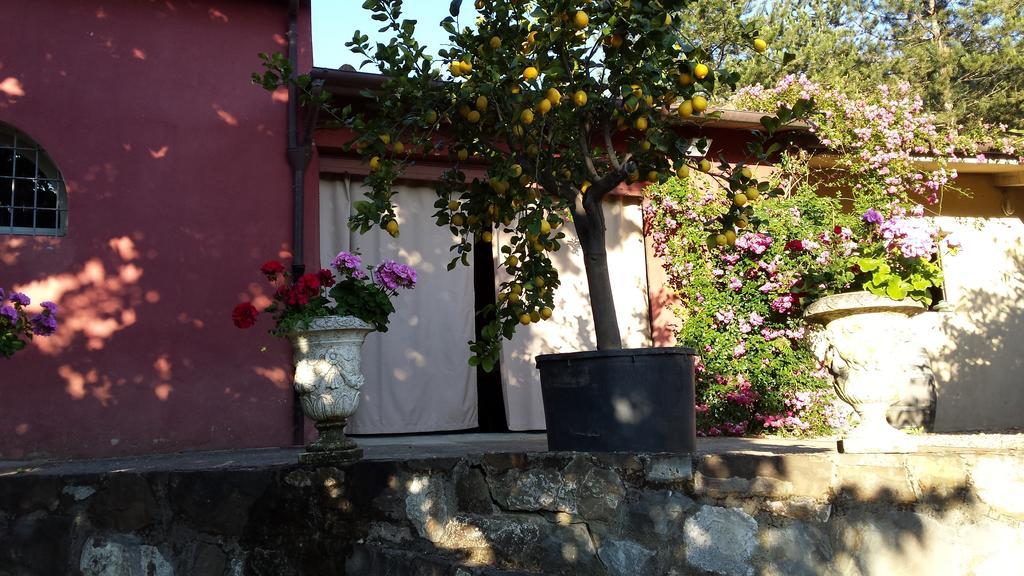 Il Pezzatino Guest House Rufina Exterior foto